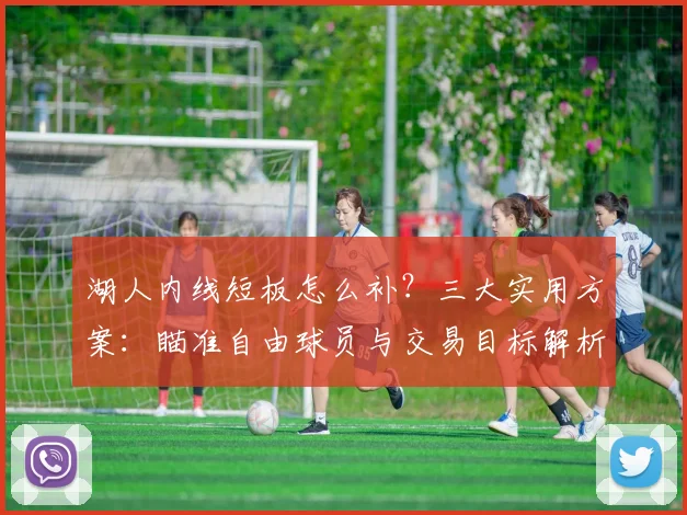 湖人内线短板怎么补？三大实用方案：瞄准自由球员与交易目标解析